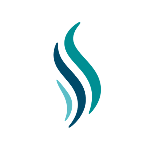 Ícono de Quiropráctica y Salud con diseño en tonos teal, azul marino y verde menta